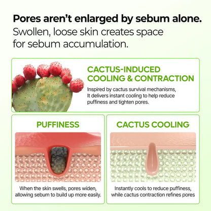 🌵🌵CACTOX PORE RELIEF MULTI BALM with Cactus Cooling Reduce Puffiness & Pore Tightening for Visible Pore Care Skin Repair